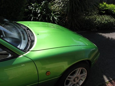 bonnet.JPG